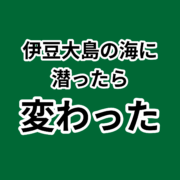 異文化体験で価値観が変わる！伊豆大島の海。伊豆大島の海に 潜ったら 変わった